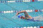 Swimming & Diving vs RWU  Swimming & Diving vs Roger Williams University. - Photo by Keith Nordstrom : Wheaton, Swimming